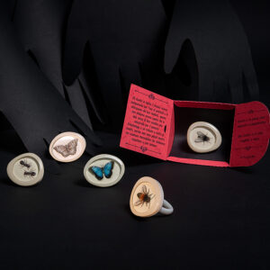 Anello Entomology