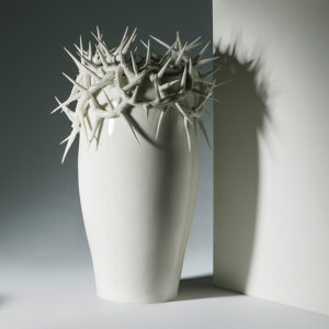 Vaso Spinae